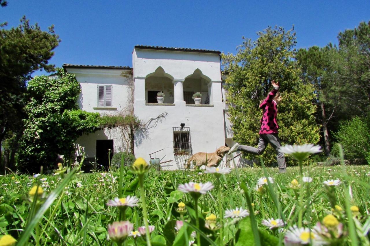 Agriturismo "Borgo Madonna Degli Angeli" - Charming Cottages In The Gardens ! Tocco da Casauria Buitenkant foto