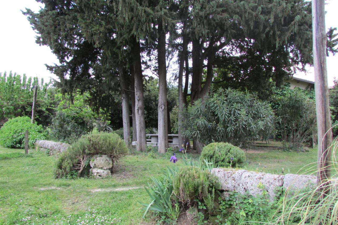 Agriturismo "Borgo Madonna Degli Angeli" - Charming Cottages In The Gardens ! Tocco da Casauria Buitenkant foto