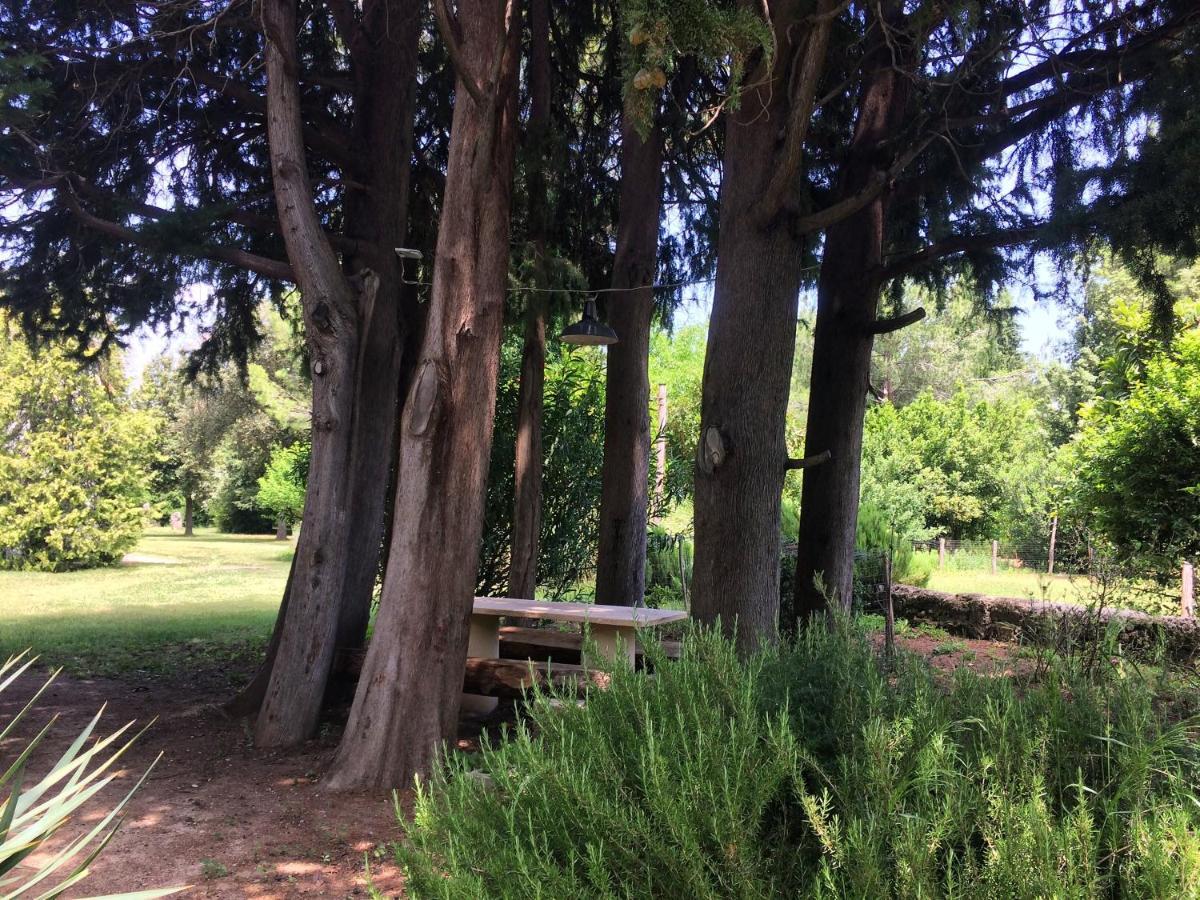 Agriturismo "Borgo Madonna Degli Angeli" - Charming Cottages In The Gardens ! Tocco da Casauria Buitenkant foto