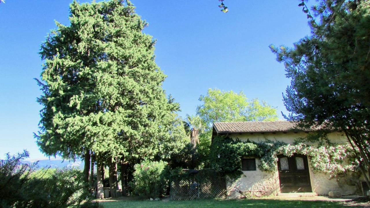 Agriturismo "Borgo Madonna Degli Angeli" - Charming Cottages In The Gardens ! Tocco da Casauria Buitenkant foto