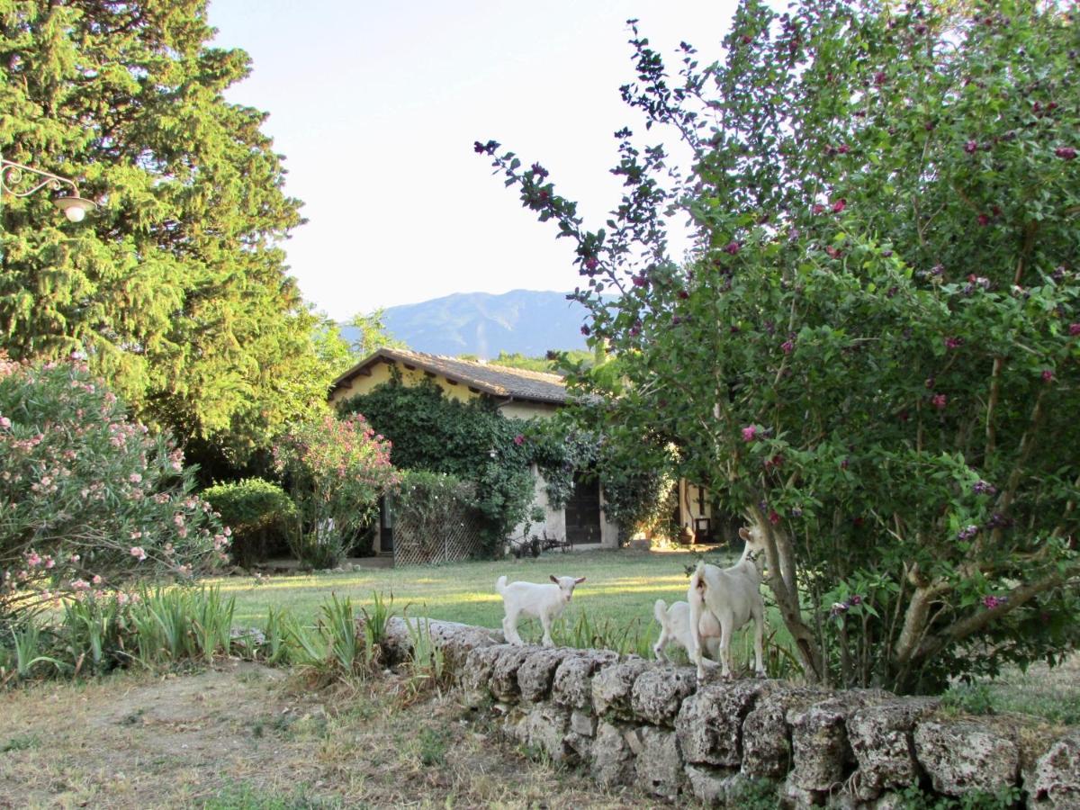 Agriturismo "Borgo Madonna Degli Angeli" - Charming Cottages In The Gardens ! Tocco da Casauria Buitenkant foto