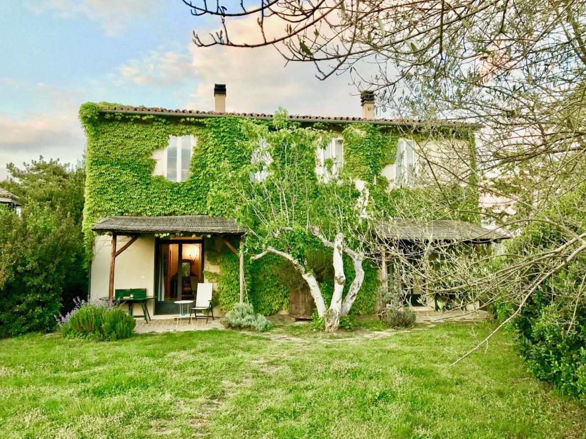 Agriturismo "Borgo Madonna Degli Angeli" - Charming Cottages In The Gardens ! Tocco da Casauria Buitenkant foto