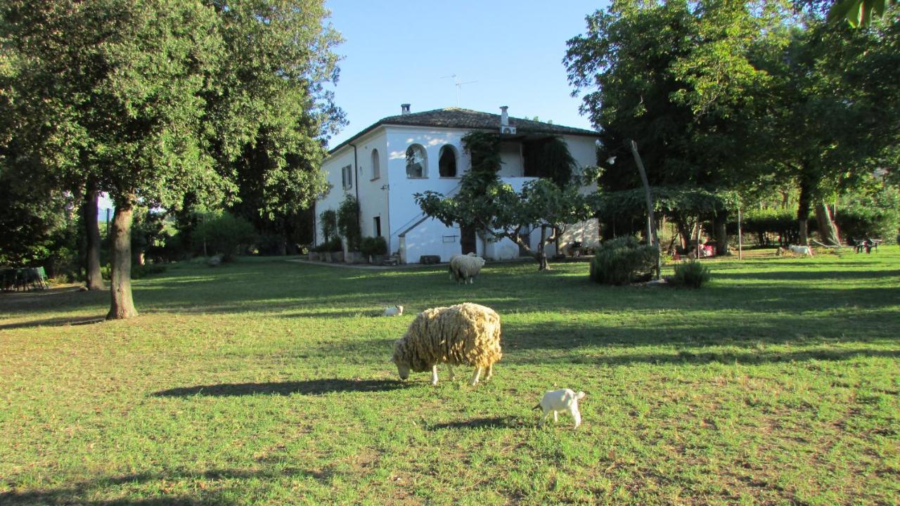Agriturismo "Borgo Madonna Degli Angeli" - Charming Cottages In The Gardens ! Tocco da Casauria Buitenkant foto