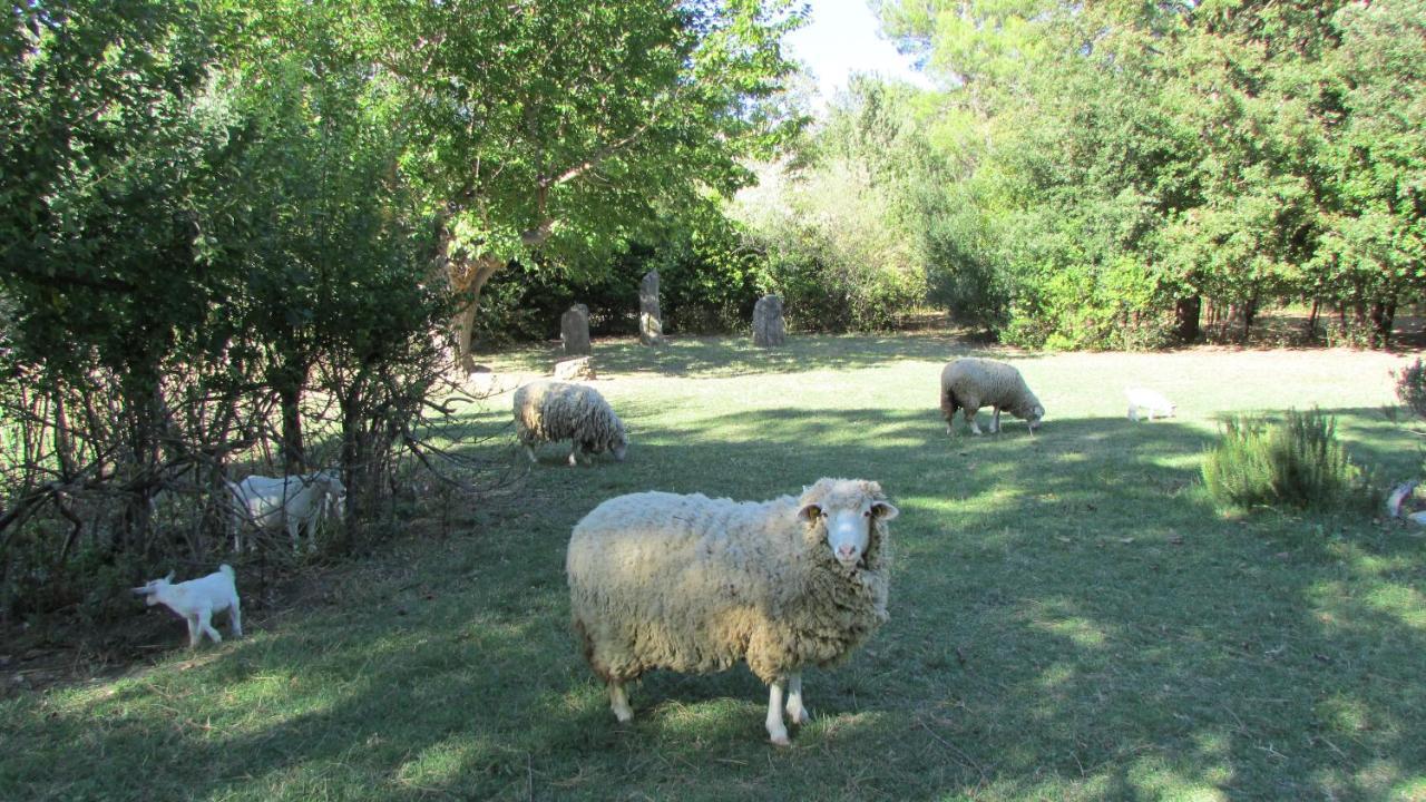 Agriturismo "Borgo Madonna Degli Angeli" - Charming Cottages In The Gardens ! Tocco da Casauria Buitenkant foto