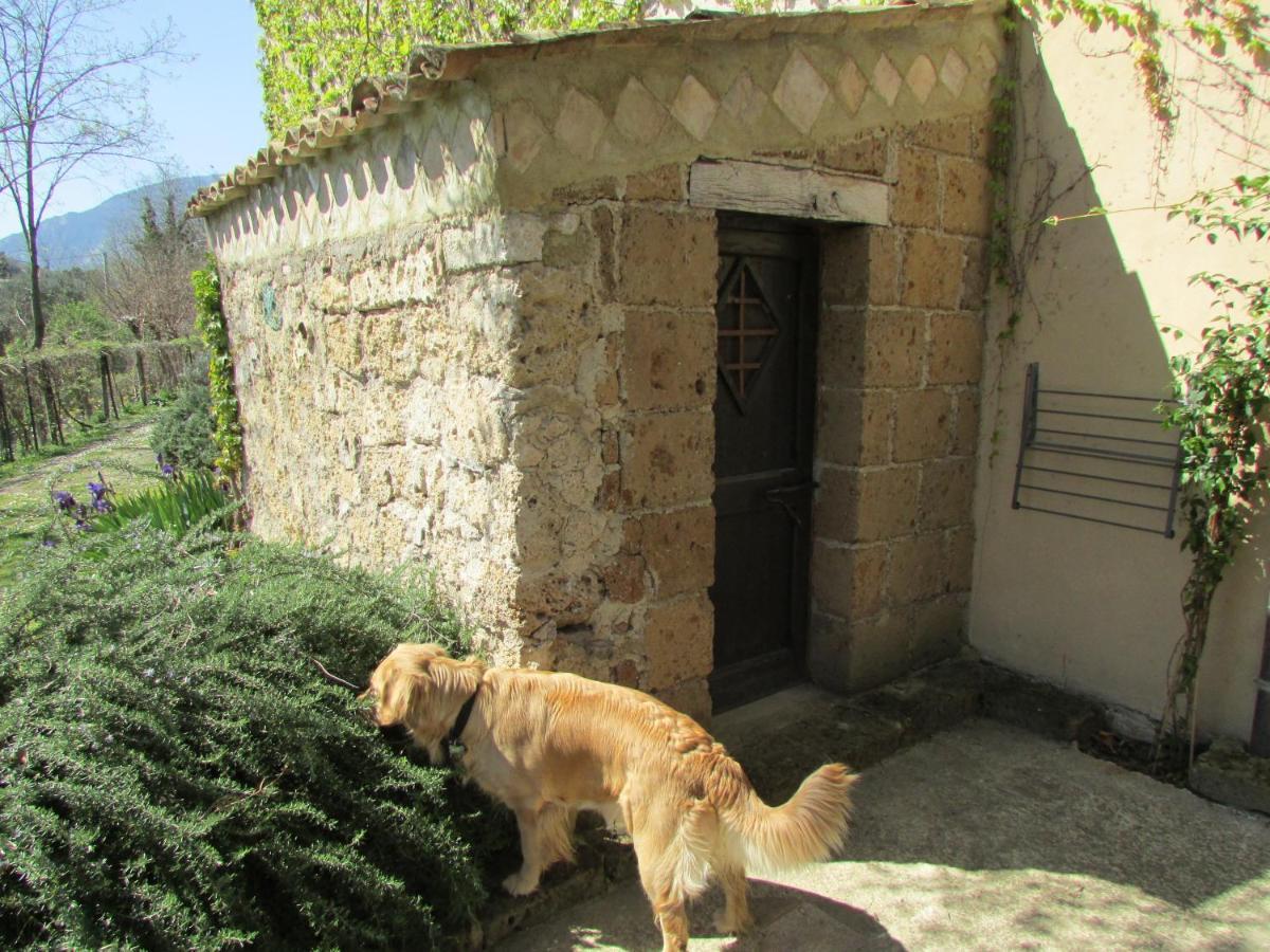 Agriturismo "Borgo Madonna Degli Angeli" - Charming Cottages In The Gardens ! Tocco da Casauria Buitenkant foto