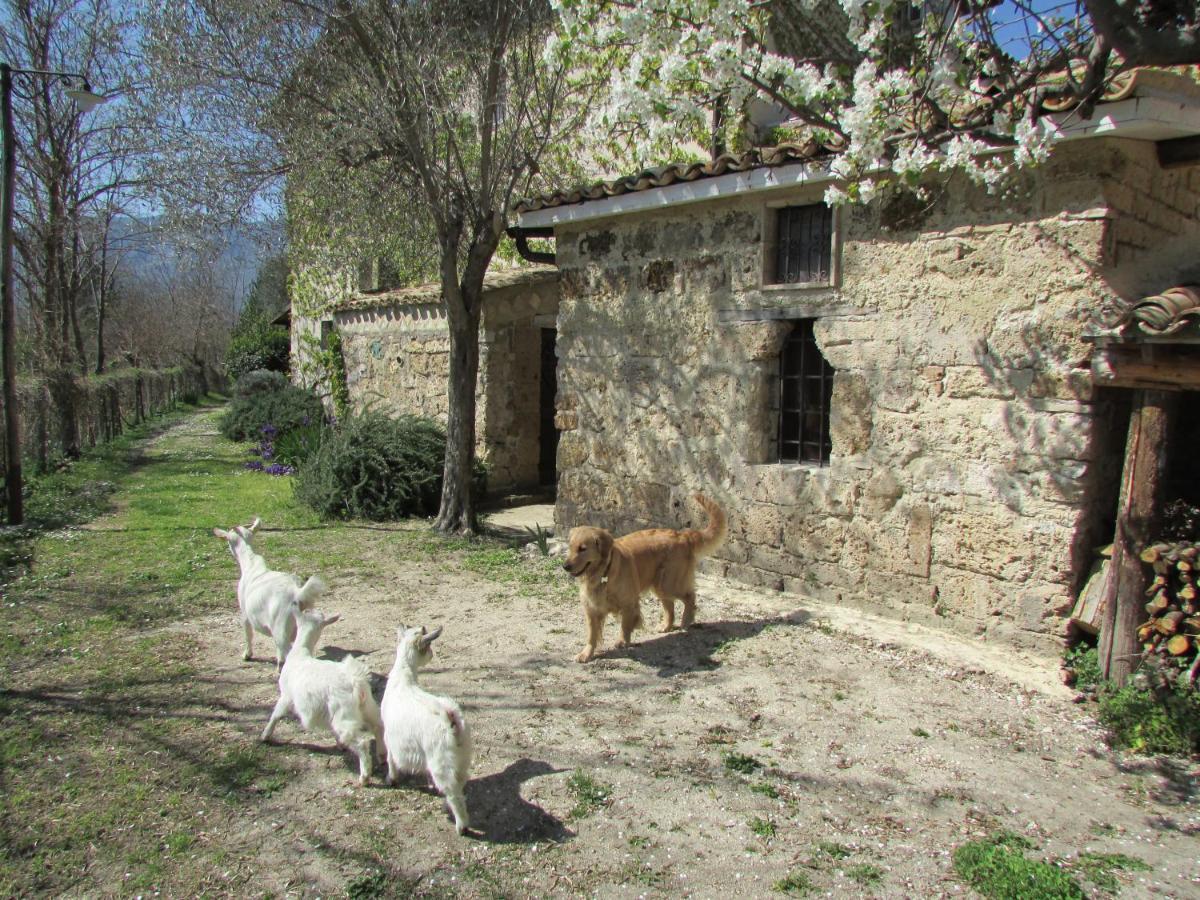 Agriturismo "Borgo Madonna Degli Angeli" - Charming Cottages In The Gardens ! Tocco da Casauria Buitenkant foto
