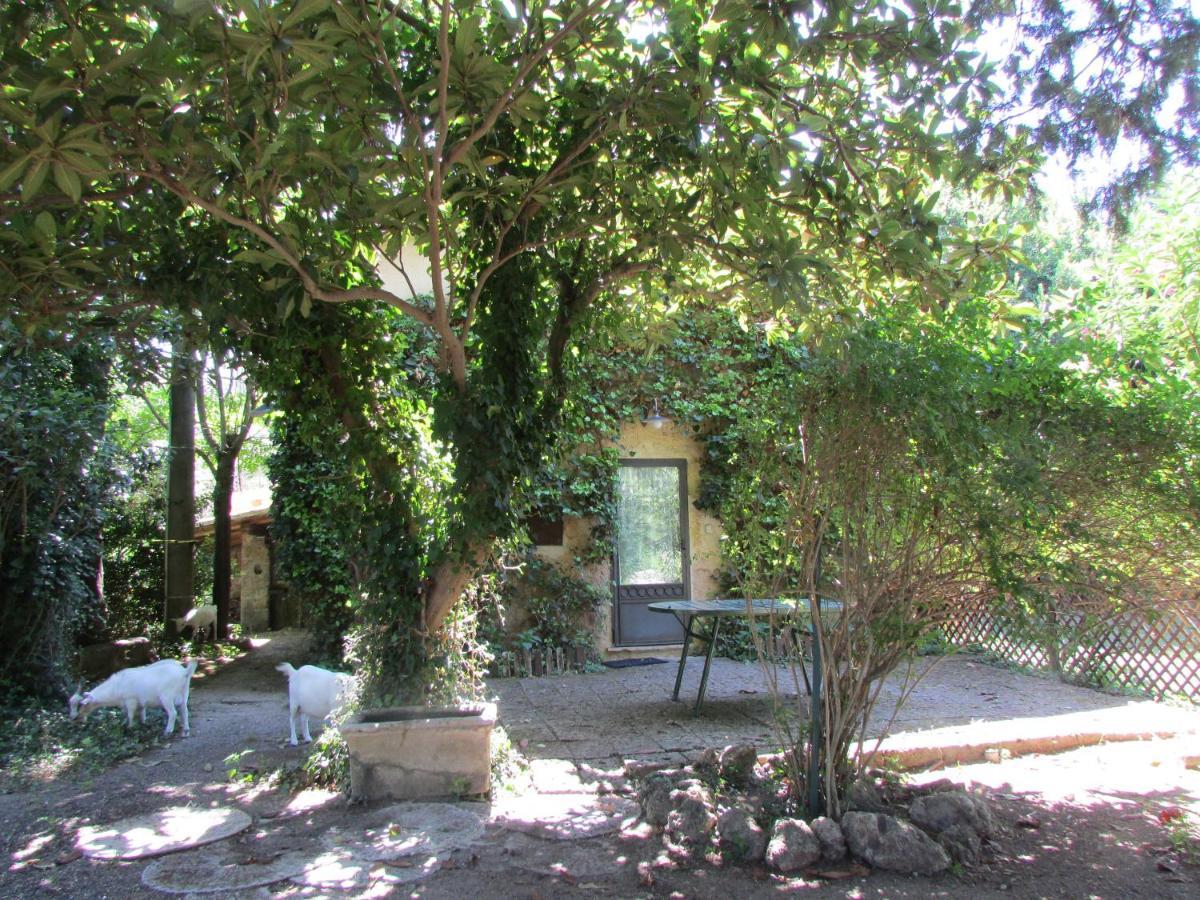 Agriturismo "Borgo Madonna Degli Angeli" - Charming Cottages In The Gardens ! Tocco da Casauria Buitenkant foto