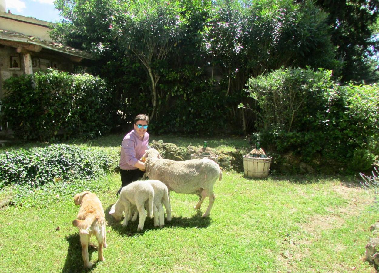 Agriturismo "Borgo Madonna Degli Angeli" - Charming Cottages In The Gardens ! Tocco da Casauria Buitenkant foto