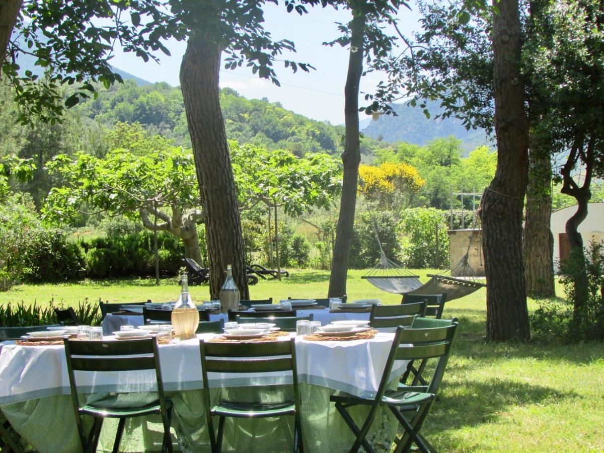 Agriturismo "Borgo Madonna Degli Angeli" - Charming Cottages In The Gardens ! Tocco da Casauria Buitenkant foto