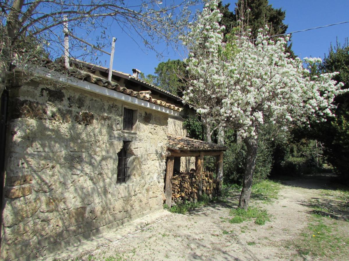 Agriturismo "Borgo Madonna Degli Angeli" - Charming Cottages In The Gardens ! Tocco da Casauria Buitenkant foto