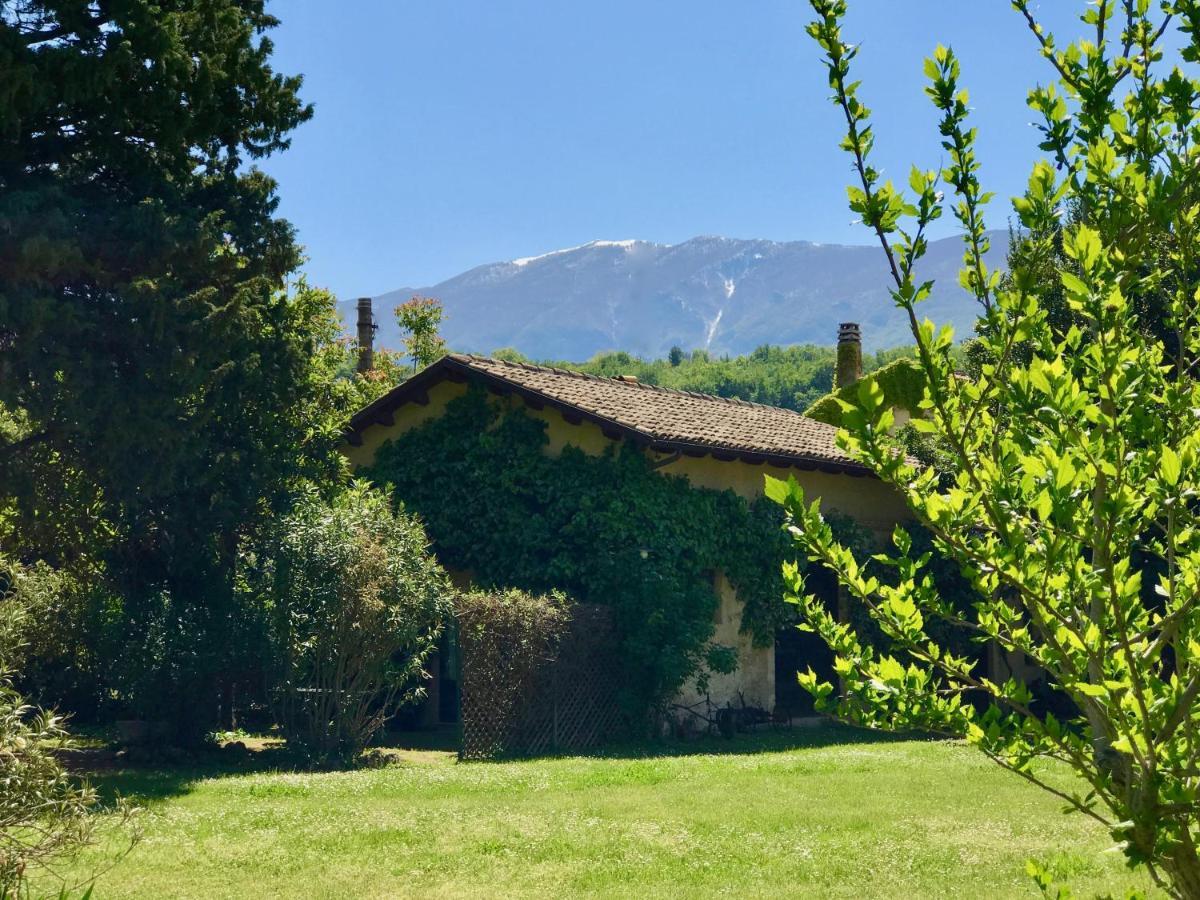 Agriturismo "Borgo Madonna Degli Angeli" - Charming Cottages In The Gardens ! Tocco da Casauria Buitenkant foto