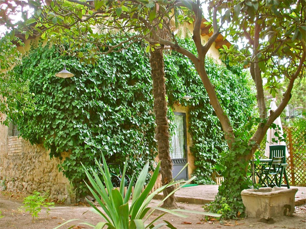 Agriturismo "Borgo Madonna Degli Angeli" - Charming Cottages In The Gardens ! Tocco da Casauria Buitenkant foto