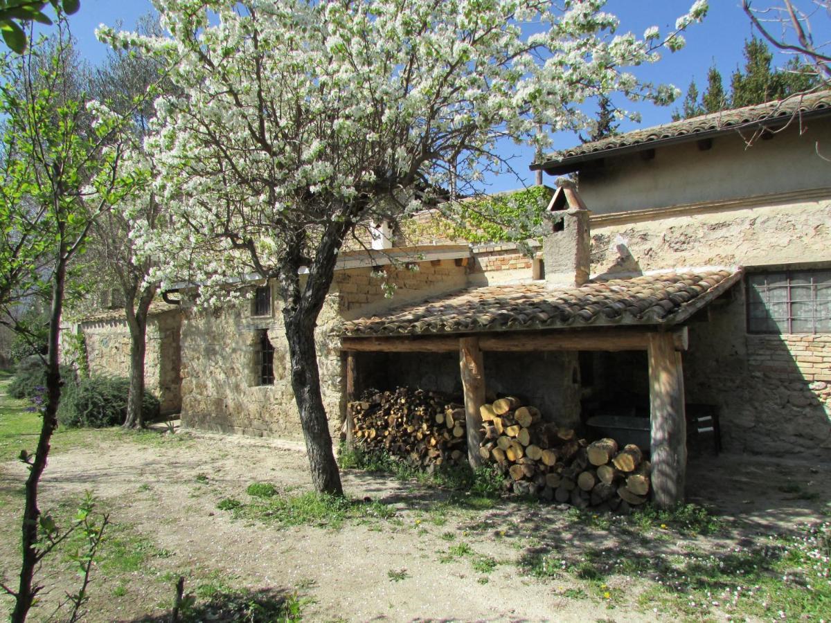 Agriturismo "Borgo Madonna Degli Angeli" - Charming Cottages In The Gardens ! Tocco da Casauria Buitenkant foto