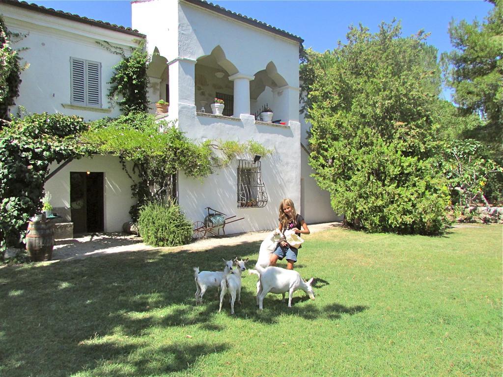 Agriturismo "Borgo Madonna Degli Angeli" - Charming Cottages In The Gardens ! Tocco da Casauria Buitenkant foto