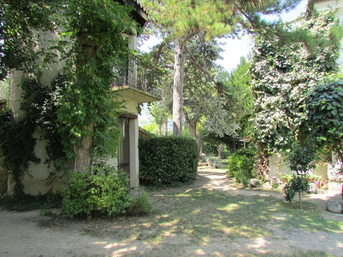 Agriturismo "Borgo Madonna Degli Angeli" - Charming Cottages In The Gardens ! Tocco da Casauria Buitenkant foto